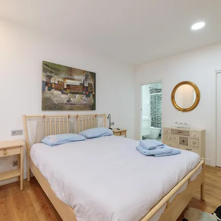 Singular * 萨莫拉